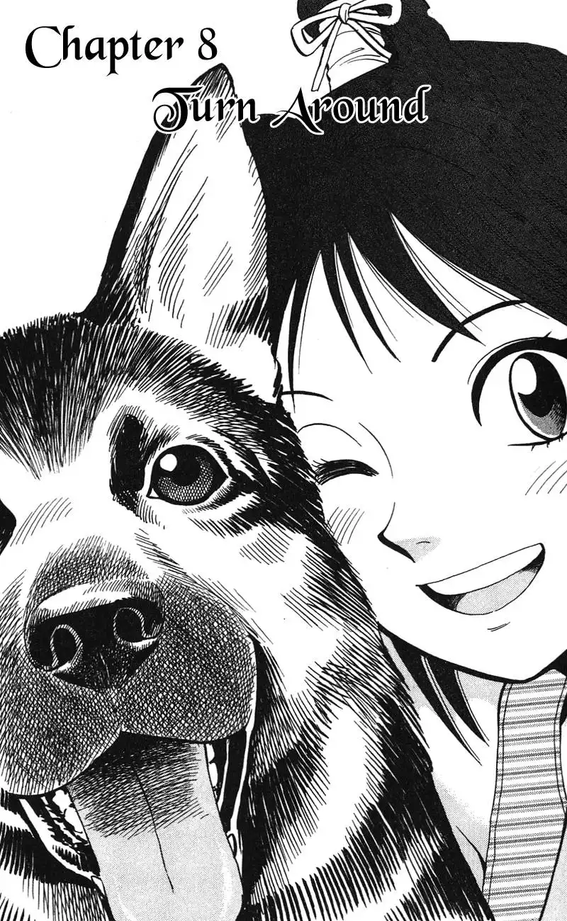 Animal Sense Chapter 8 2